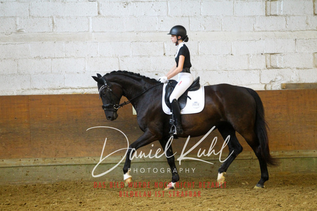 DKP44064 | Turniersportfotografie; Pferdefotografie; Dressurfotografie