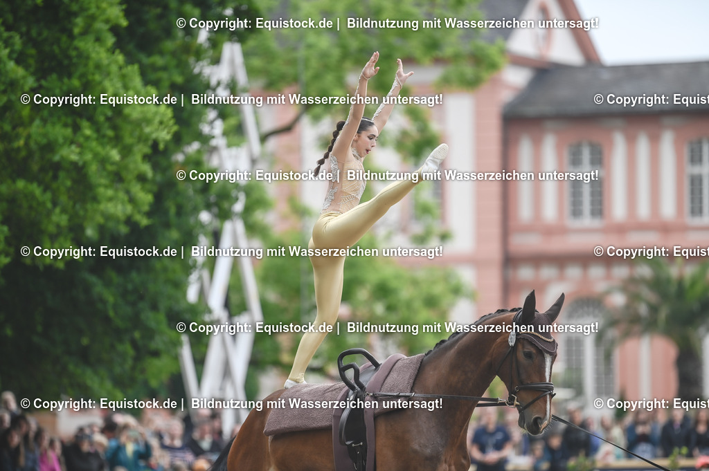 20240519_Voltige_0168 | Foto: Thomas Hartig