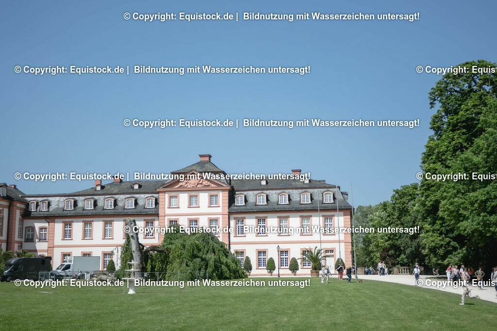 ZFC_3975 | equistock