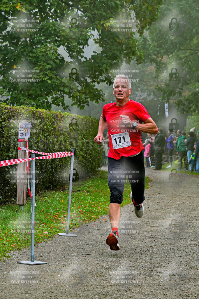 Z8N_1531 | la-psv - Realisiert mit Pictrs.com