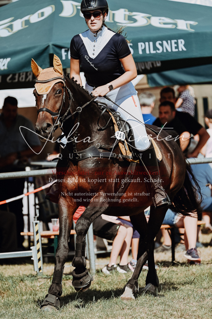 DSC_9640 | Pferde- und Turnierfotografie in Westsachsen. Pferdeportraits, Auftragszeichnungen und intuitive Kunst.