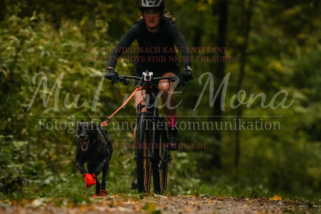 20251005_THS_Turnier-90 | MuT (Mensch und Tier) mit Mona - Fotografie und Tierkommunikation - Realisiert mit Pictrs.com