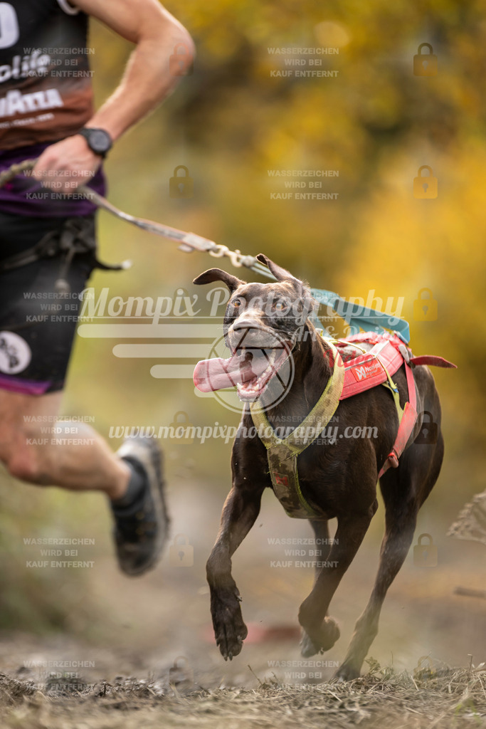 MompixPhotography_ICF_WC_2024_SA_Run_-50 | PayLife