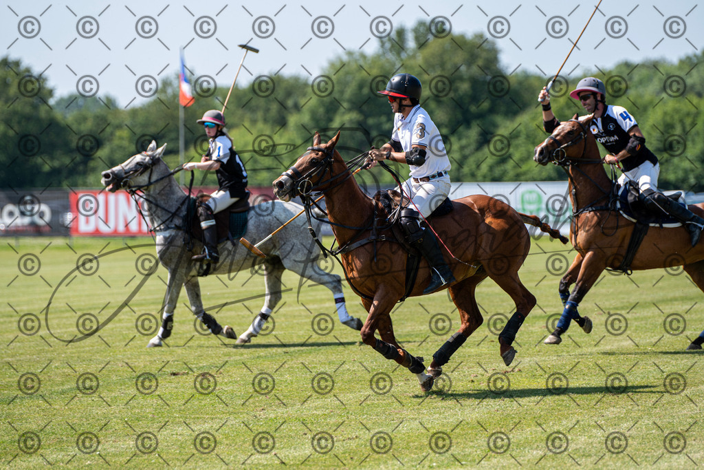 POL_3334 | andre_photographic