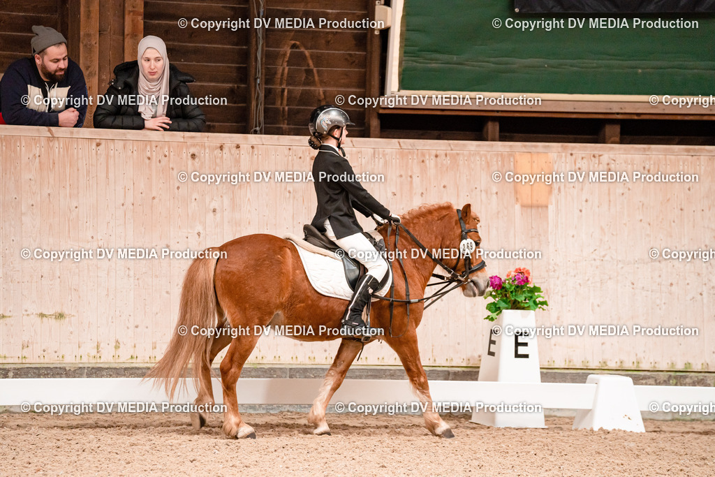 Dressur Tag 2-587 | dv-media-shop - Realisiert mit Pictrs.com