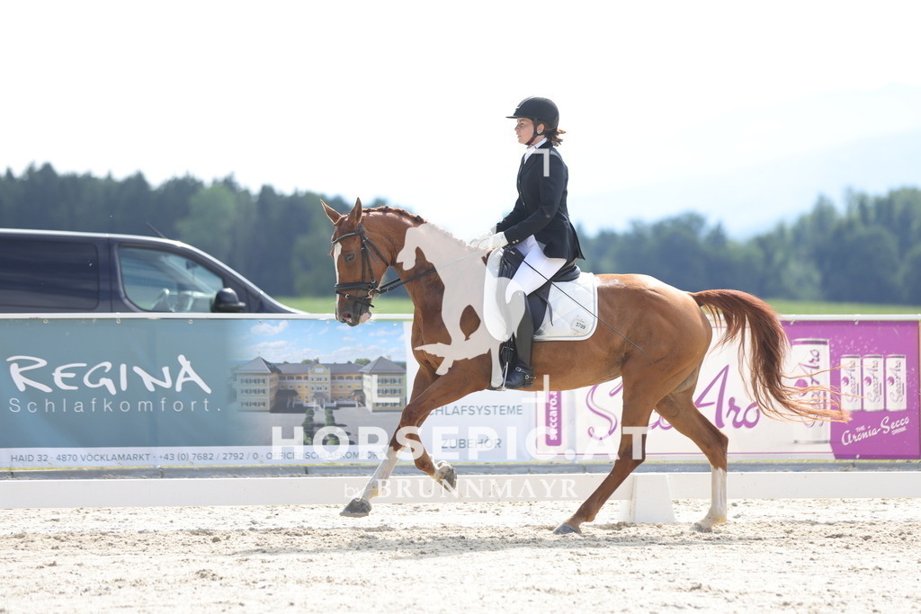 0P6A5005 | Willkommen bei Brunnmayr - Design & Fotografie – Ihrem Spezialisten für Reitturniere und Pferdeveranstaltungen in Oberösterreich, Salzburg und Bayern! Seit über 17 Jahren sind wir leidenschaftlich dabei.