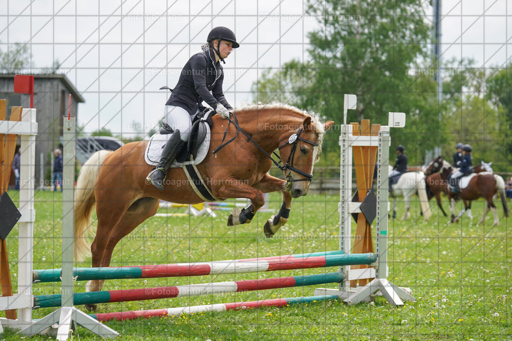 20240509-FAH02467 | Turnierbilder der Turnierfotografen Bayern, Pferdesport Fotografie, Reitsportbilder, Turnier Landberg am Lech, Turnierbilder bayern, Fotoagentur Herrmann