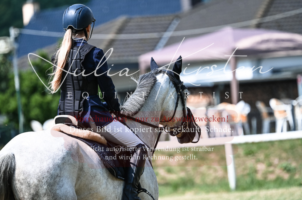 DSC_8800 | Pferde- und Turnierfotografie in Westsachsen. Pferdeportraits, Auftragszeichnungen und intuitive Kunst.