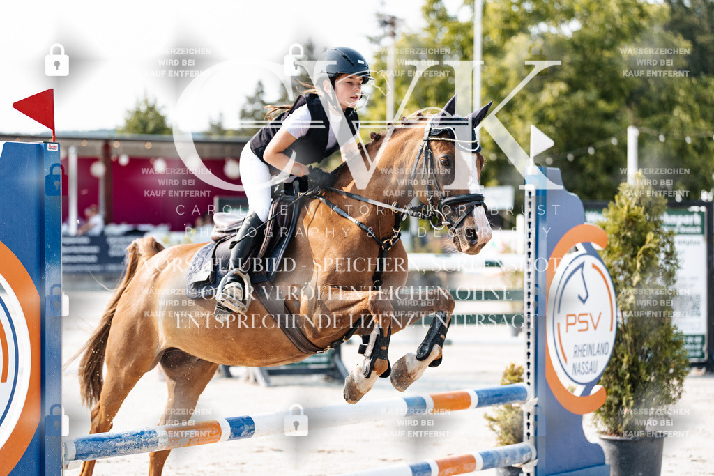 CK902734 | Turnierfotografie Pferdefotografie Trier Rheinland-Pfalz Pferdesport Reitsport Tierfotografie Sportfotografie Pferdevideo Pferdevideografie Equestrianvideography equestrianphotography  - Realisiert mit Pictrs.com