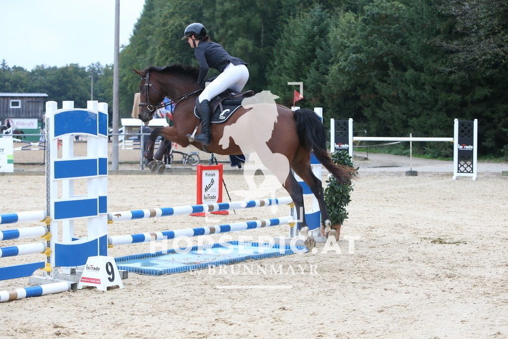 DL2Q0306 | Willkommen bei Brunnmayr - Design & Fotografie – Ihrem Spezialisten für Reitturniere und Pferdeveranstaltungen in Oberösterreich, Salzburg und Bayern! Seit über 17 Jahren sind wir leidenschaftlich dabei.