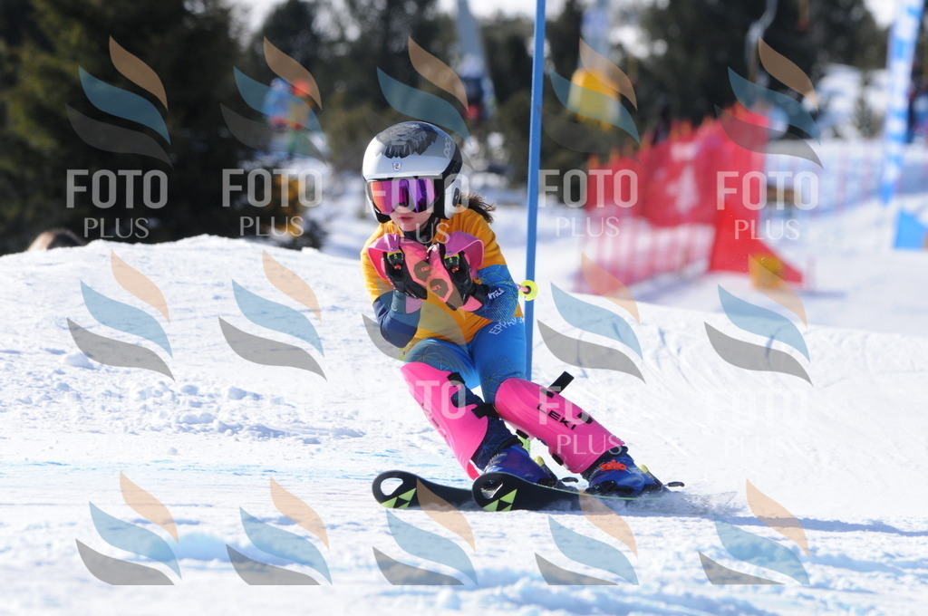 C7038 | holidayphoto