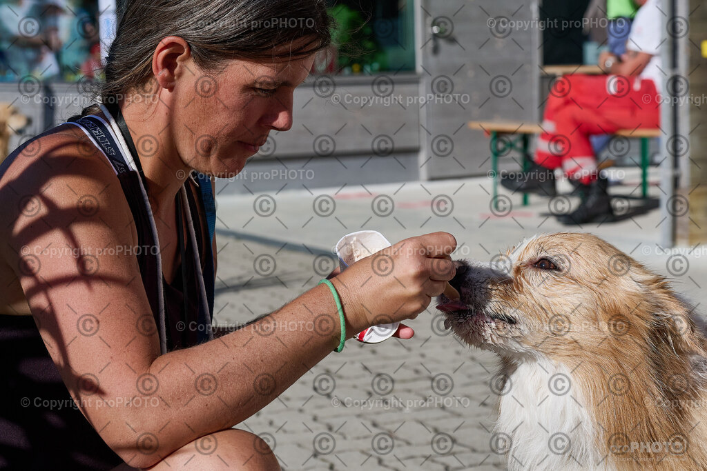 244_202509_4Hundebadetag_NZ9_2953 | proPHOTO - Realisiert mit Pictrs.com