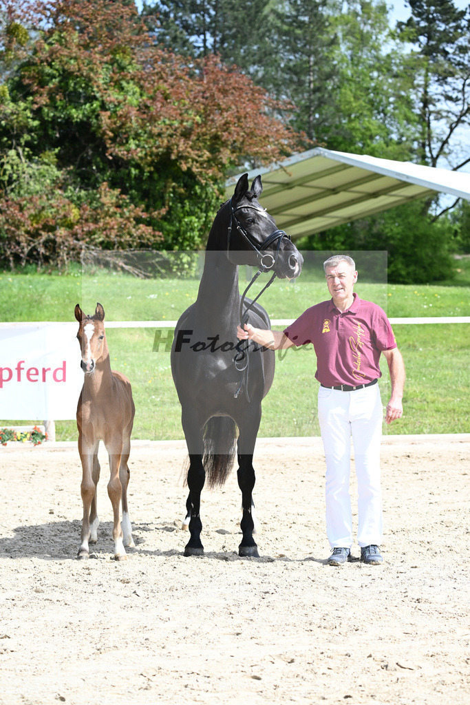 Benicio x De Niro_HF_Eder_11240222 | hf-fotografie - Realisiert mit Pictrs.com