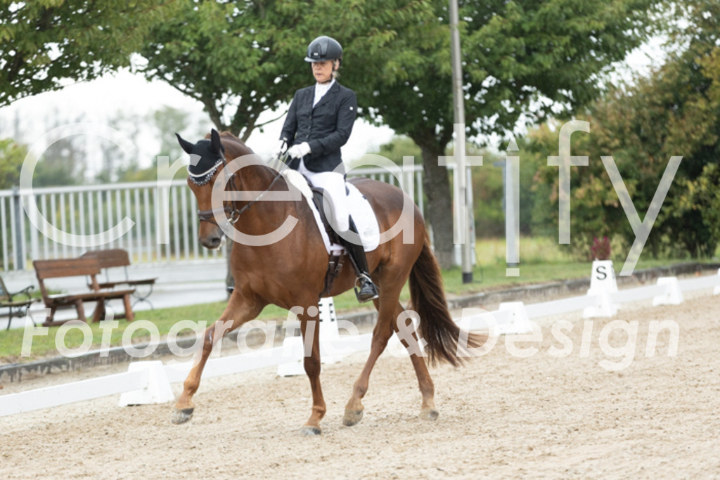 IMG_4529 | Creatify Fotografie