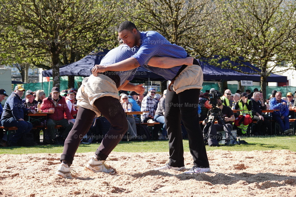 DSC02264 | Schwingen - Realisiert mit Pictrs.com