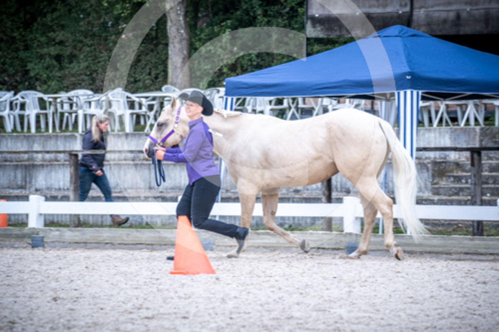 HEB06489 | BS-foto