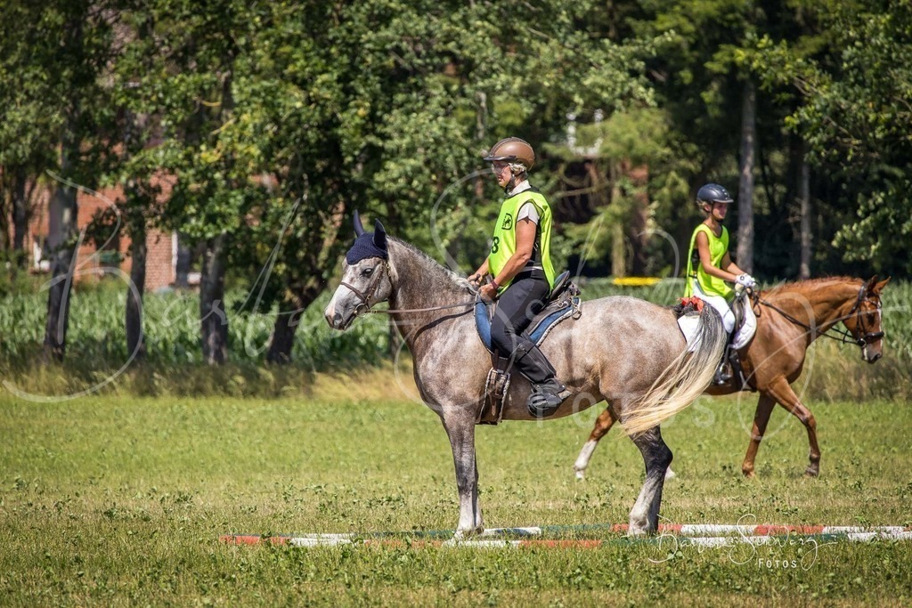 CJP_2026-06-26_47 | Stimmungsvolle Fotografie von Pferden, fotografische Begleitung von Veranstaltungen, Golfturnieren und Distanzritten - Realisiert mit Pictrs.com