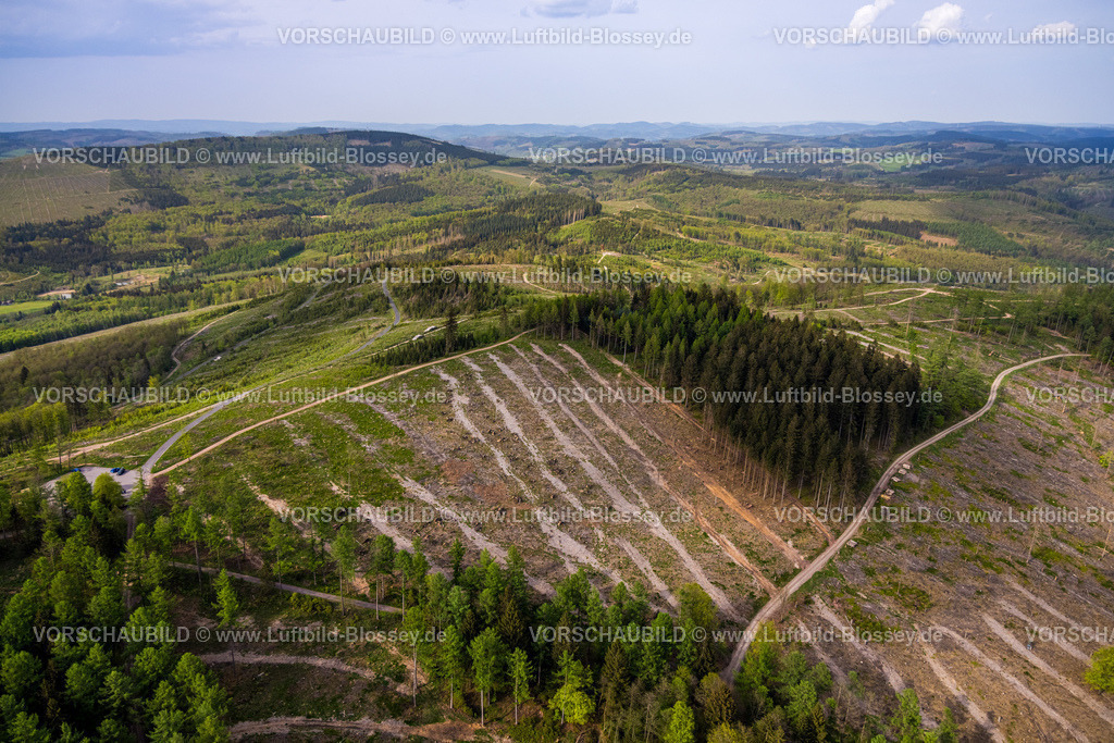 Kreuztal240502514Grubenfeld-Littfeld-Kindelsberg | Luftbild, Waldgebiet mit Waldschäden, Grubenfeld Grubengelände Littfeld Kindelsberg, Fernsicht Hügel und Täler, Ferndorf, Kreuztal, Nordrhein-Westfalen, Deutschland