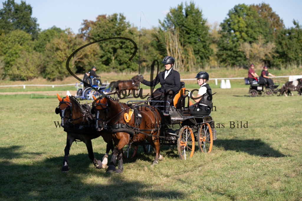 A7V04660 | Pferdefotograf