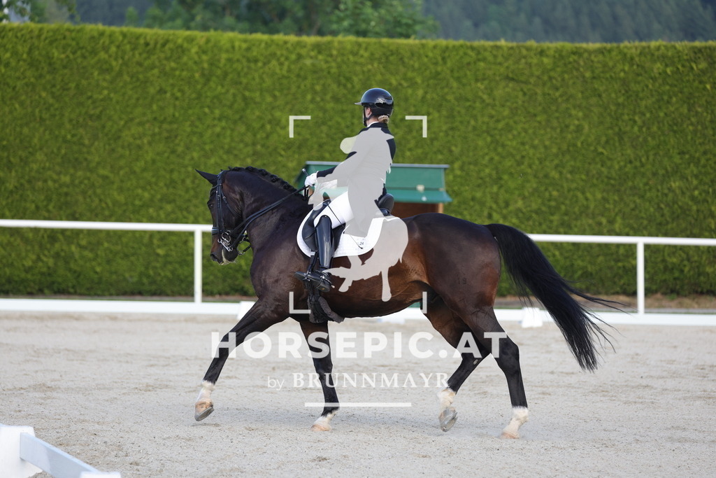 0P6A3765 | Willkommen bei Brunnmayr - Design & Fotografie – Ihrem Spezialisten für Reitturniere und Pferdeveranstaltungen in Oberösterreich, Salzburg und Bayern! Seit über 17 Jahren sind wir leidenschaftlich dabei.
