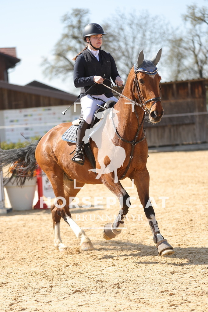0P6A1496 | Willkommen bei Brunnmayr - Design & Fotografie – Ihrem Spezialisten für Reitturniere und Pferdeveranstaltungen in Oberösterreich, Salzburg und Bayern! Seit über 17 Jahren sind wir leidenschaftlich dabei.
