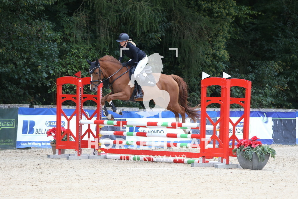 DL2Q0626 | Willkommen bei Brunnmayr - Design & Fotografie – Ihrem Spezialisten für Reitturniere und Pferdeveranstaltungen in Oberösterreich, Salzburg und Bayern! Seit über 17 Jahren sind wir leidenschaftlich dabei.
