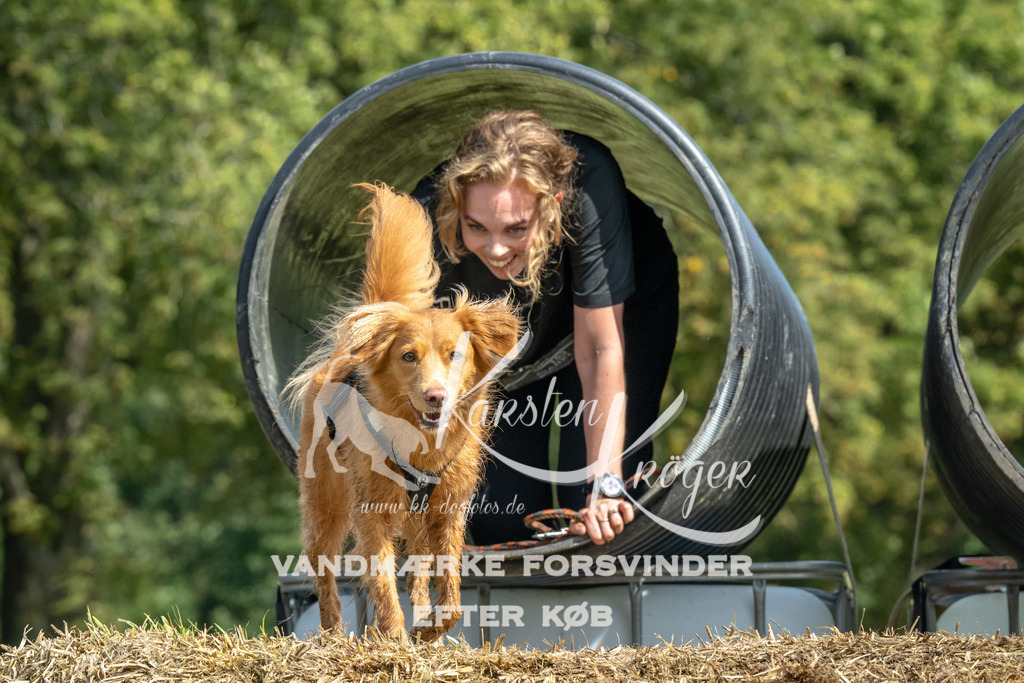 1307_ZZ92238 | kk-dogfotos