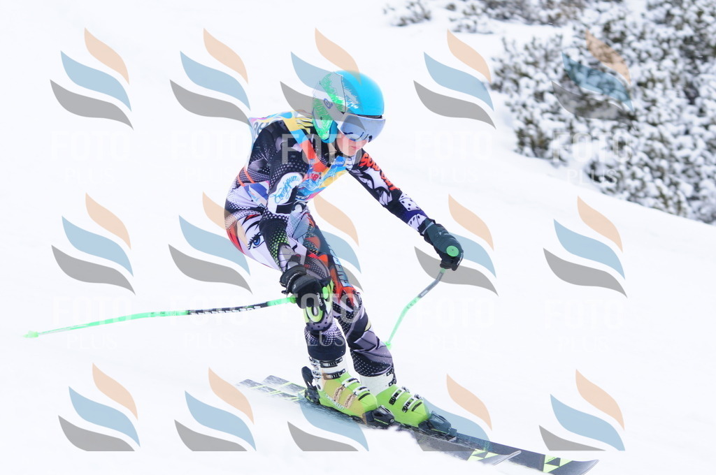 C4199 | holidayphoto