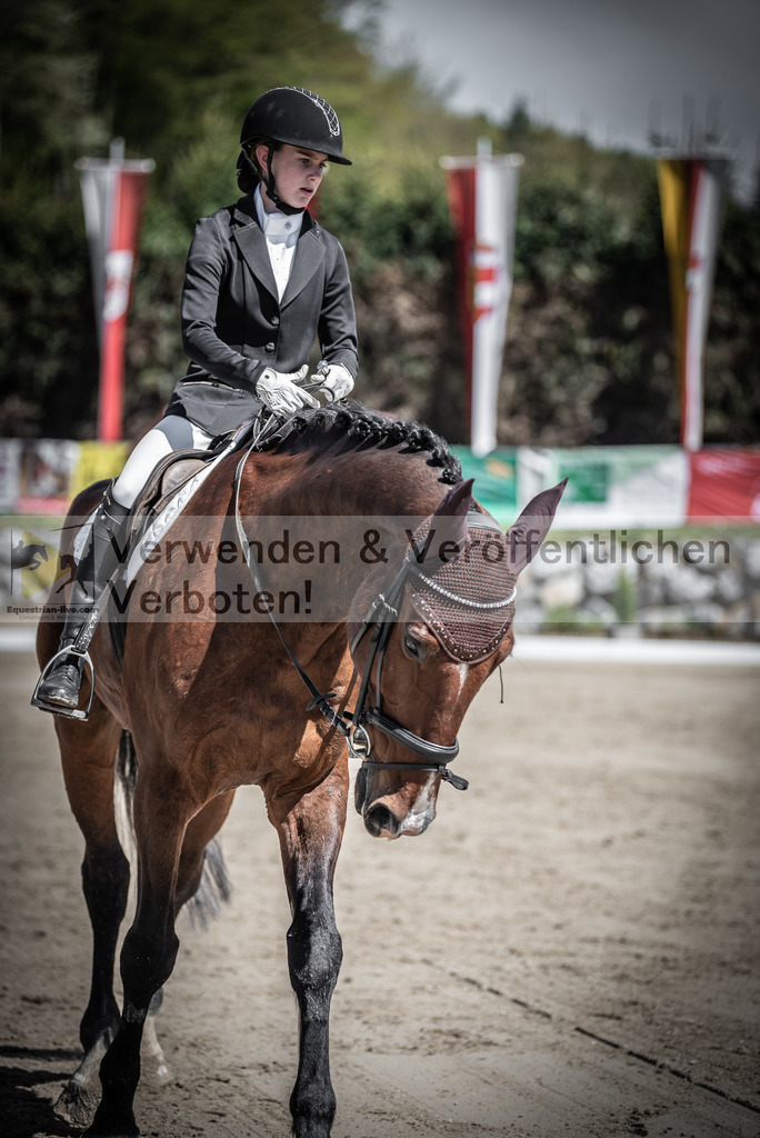 DSC_9934 | equestrian-live-com