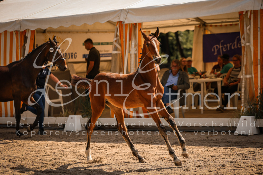 07.DoWBS00075 | Leoni Ertmer Photography - Realisiert mit Pictrs.com