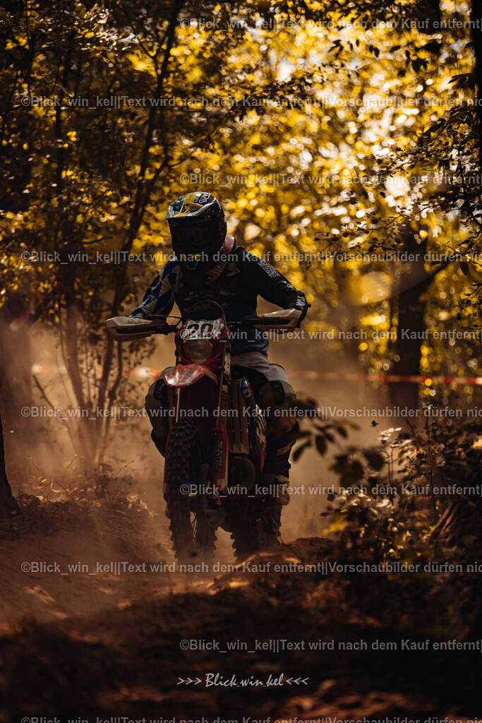 E68A8081 | blick_win_kel