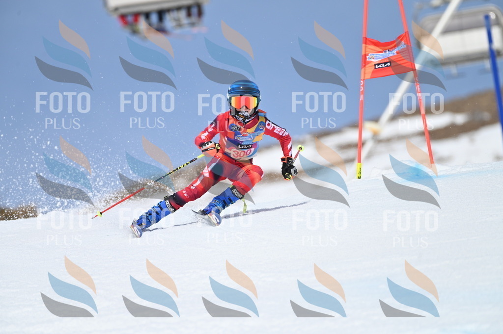 BGV_2772 | holidayphoto