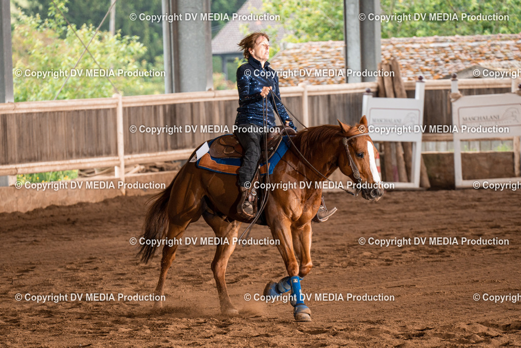 Erbach Tag 2-833 | dv-media-shop - Realisiert mit Pictrs.com