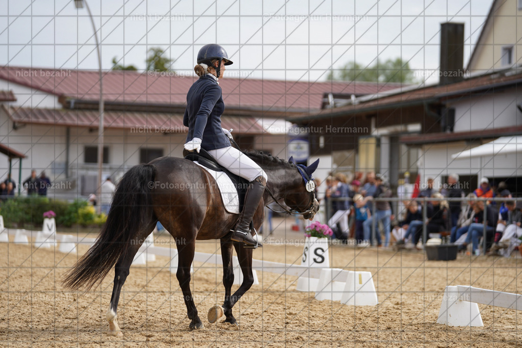 20240825-FAH00224 | Turnierbilder, Reitsportfotos, LAPO, Landesponyturnier, Turnierfotografen Bayern