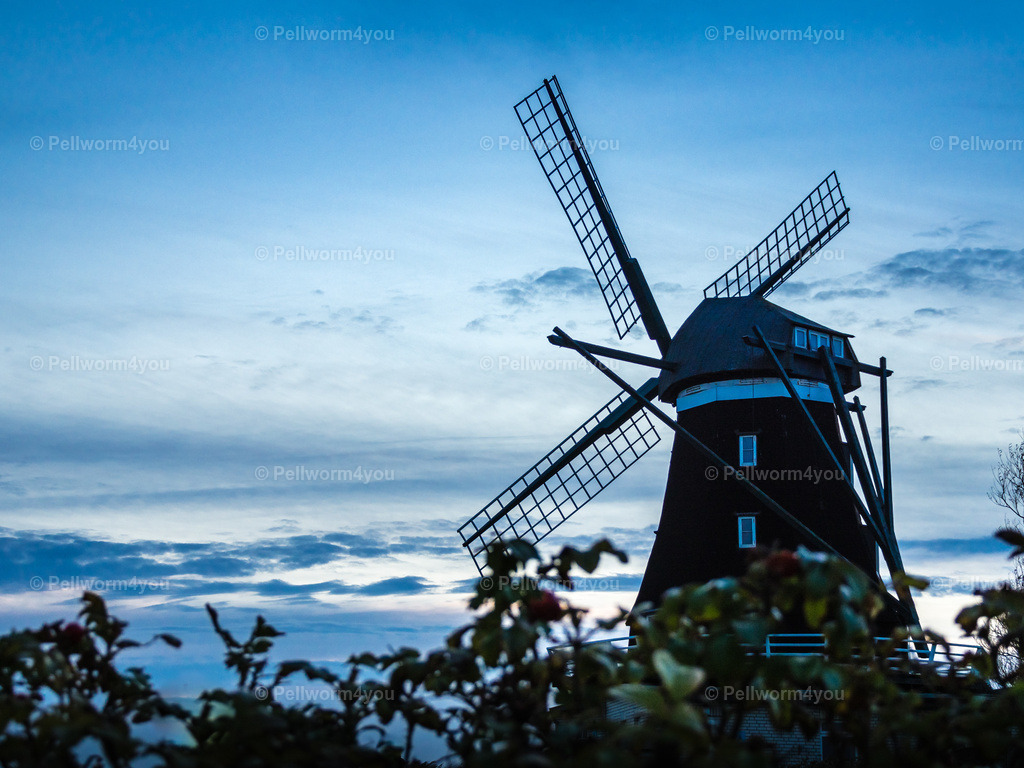 Pellworm-Pellworm-Nordermuehle_20171001-20171001-_A012984-_pictrs | Pellwormer Bilder und Fotos als Poster, auf Leinwand mit Keilrahmen, hinter Acrylglas, auf Alu-Dibond oder Forex-Platte und vieles mehr. Zum verschenken, für die Ferienwohnung oder für zu Hause. - Realisiert mit Pictrs.com