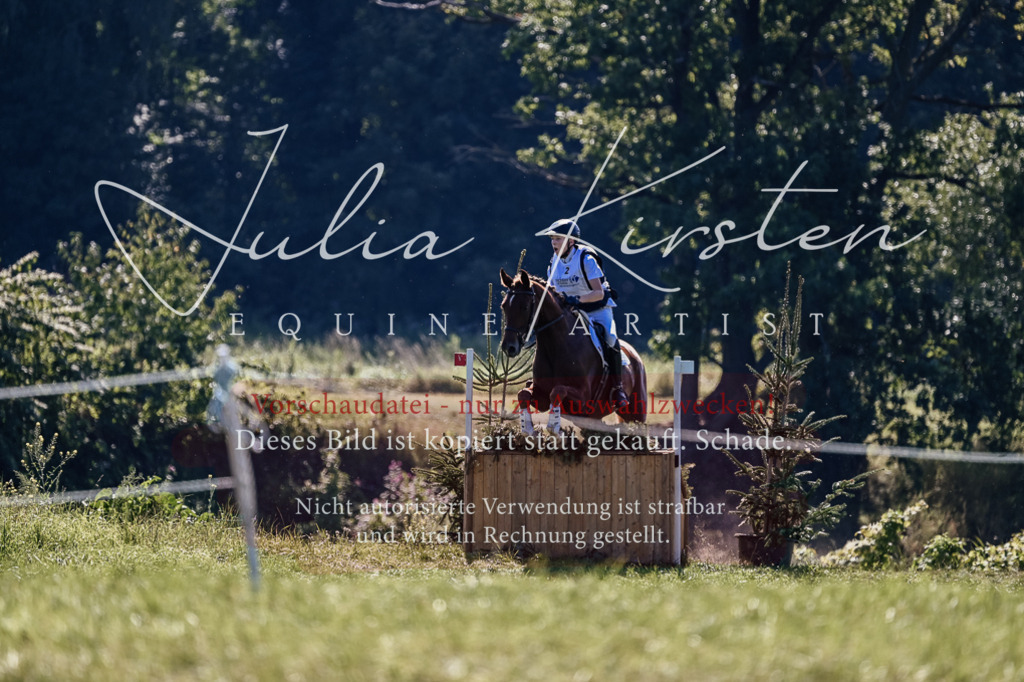 DSC_1329 | Pferde- und Turnierfotografie in Westsachsen. Pferdeportraits, Auftragszeichnungen und intuitive Kunst.