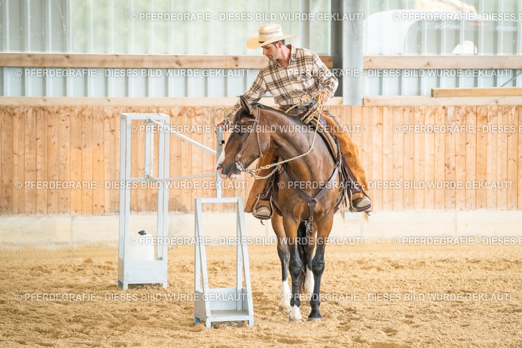 DSC07197 | Pferdegrafie