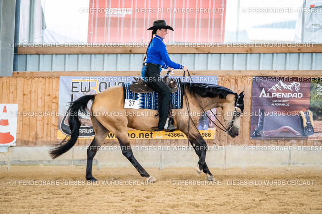 DSC09232 | Pferdegrafie