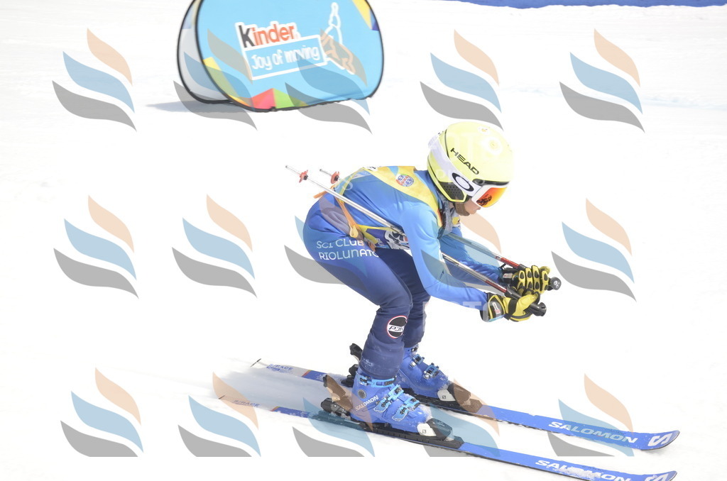 _ELE8763 | holidayphoto