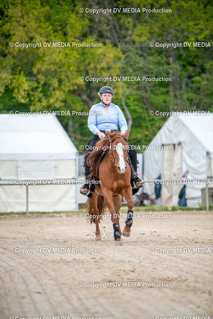 Heiligenwald Tag 2-1971 | dv-media-shop - Realisiert mit Pictrs.com