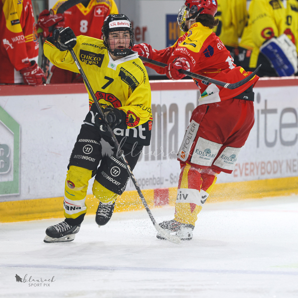 EHC Biel-Bienne vs SC Bern - 22. December 2024 | EHC Biel-Bienne vs SC BernTissot Arena, Biel-BienneBild: Waltraud Blaurock | Blaurock Pix