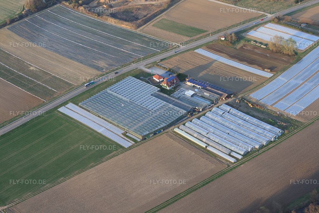 Luftbild: Martin Rothenbücher Gärtnerei in Herxheim bei Landau im Bundesland Rheinland-Pfalz in Deutschland. Foto: IMG_38918.jpg vom 25.03.2011 durch Werner Riehm/FLY-FOTO.deAuflösung des Originals: 4752 x 3168 pxMartin Rothenbücher Gärtnerei — Gartenbauer