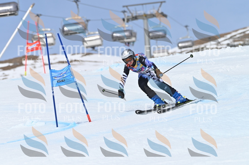 BGV_4035 | holidayphoto