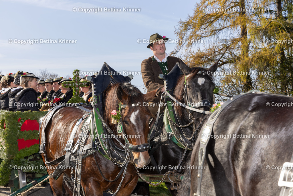 LBT24-1166 | foto-bettina-krinner - Realisiert mit Pictrs.com