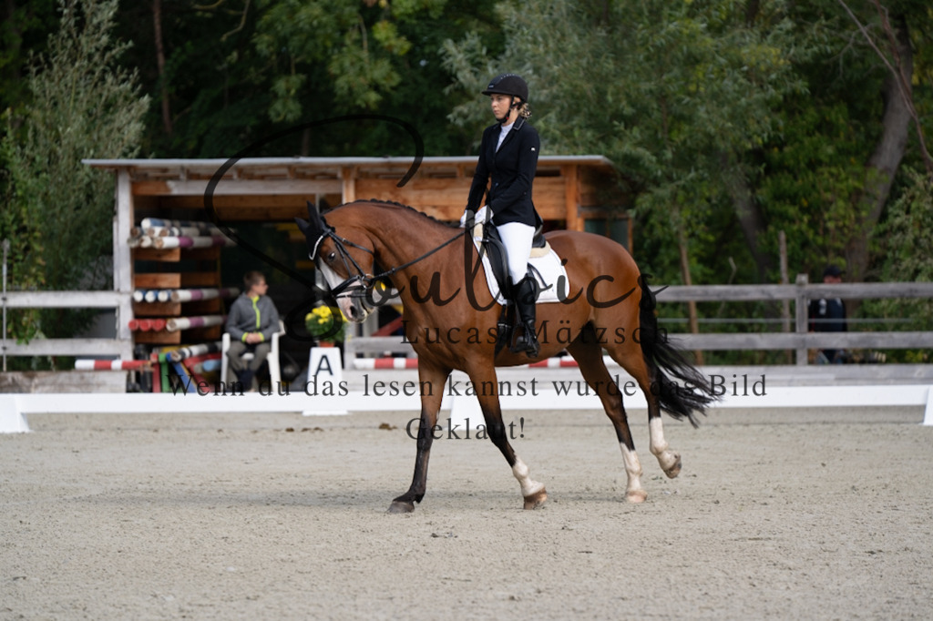 A7V06819 | Turnier/Reitfotograf