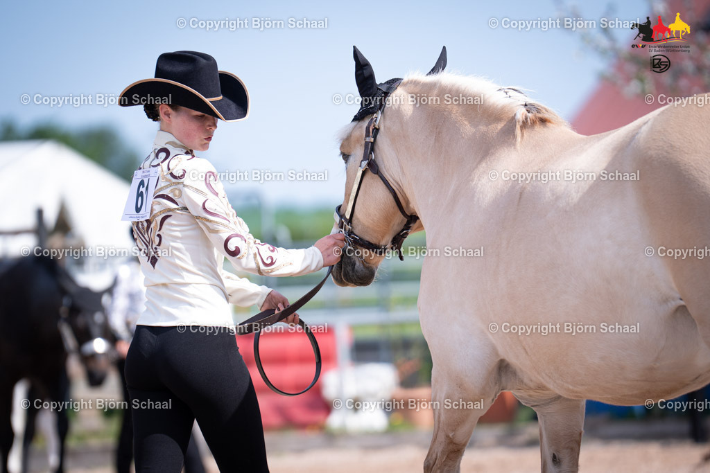 LMB07318 | BS-foto