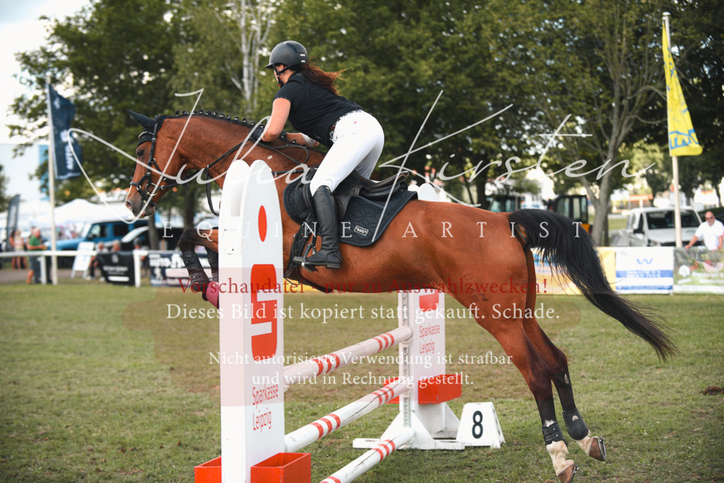 DSC_6704 | Pferde- und Turnierfotografie in Westsachsen. Pferdeportraits, Auftragszeichnungen und intuitive Kunst.