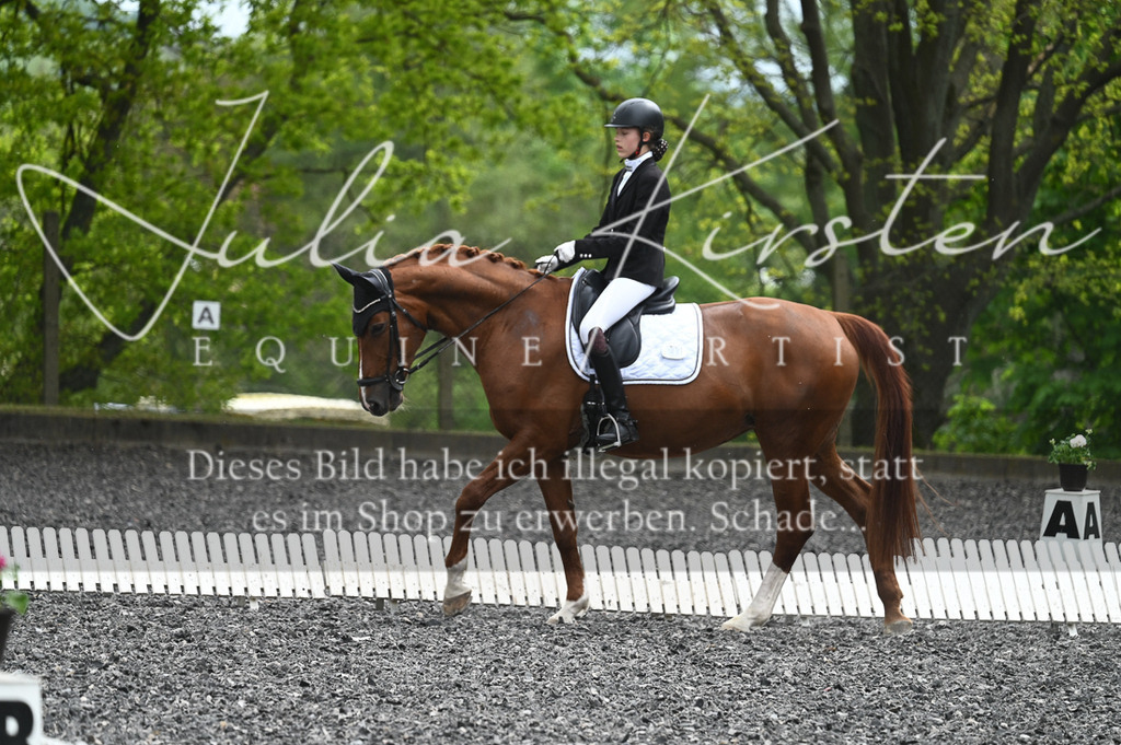20230512_JK-Röhrsdorf-07-233 | Pferde- und Turnierfotografie in Westsachsen. Pferdeportraits, Auftragszeichnungen und intuitive Kunst.