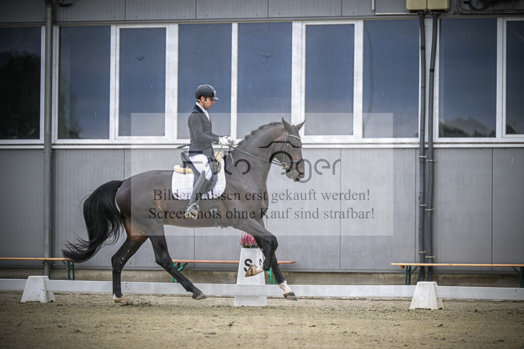 DOS_0163 | Entdecke hochwertige Reitturnierfotos von Foto Oger. Professionell, emotional und authentisch – jetzt Lieblingsmomente im Shop bestellen.Deutschlandweite Turnierfotografie. - Realisiert mit Pictrs.com