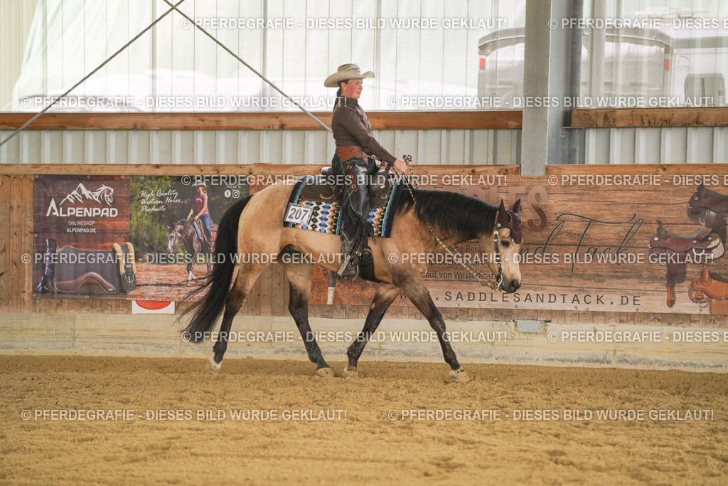 DSC08233 | Pferdegrafie